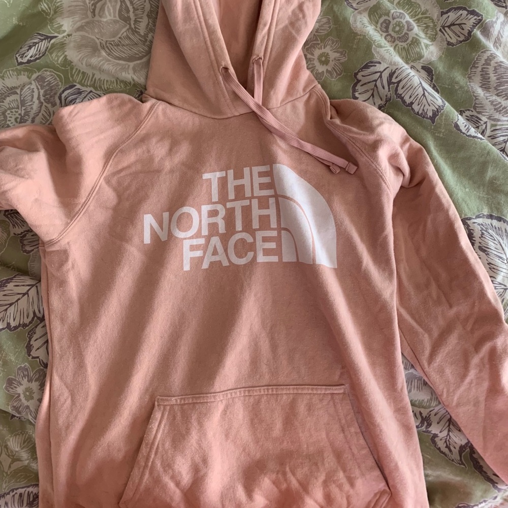 The north face hooded sweatshirt